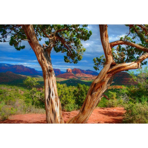 Sedona Red III Black Modern Wood Framed Art Print with Double Matting by Bolokofsky, Ronald