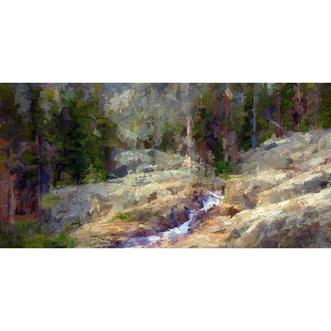 Shadow Creek Gold Ornate Wood Framed Art Print with Double Matting by Bolokofsky, Ronald