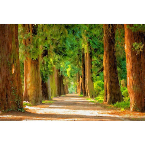 Shady Tree Lane III Gold Ornate Wood Framed Art Print with Double Matting by Bolokofsky, Ronald