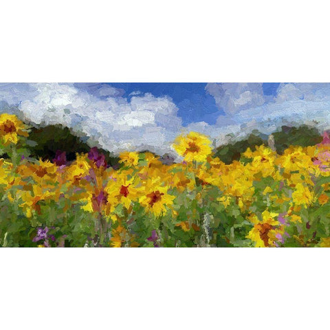 Sunflower Fields II White Modern Wood Framed Art Print by Bolokofsky, Ronald