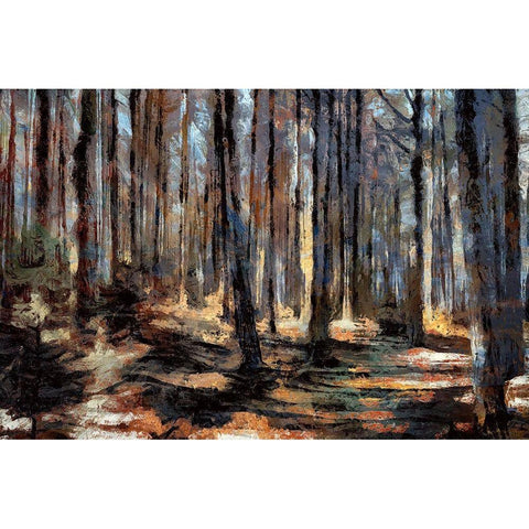 The Forest Floor I Black Modern Wood Framed Art Print with Double Matting by Bolokofsky, Ronald