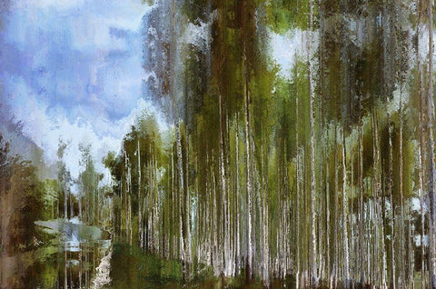 The River Runs Through White Modern Wood Framed Art Print with Double Matting by Bolokofsky, Ronald