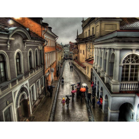 Rainy Streets of Vienna Black Modern Wood Framed Art Print with Double Matting by Bolokofsky, Ronald