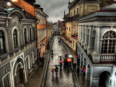 Rainy Streets of Vienna Black Ornate Wood Framed Art Print with Double Matting by Bolokofsky, Ronald