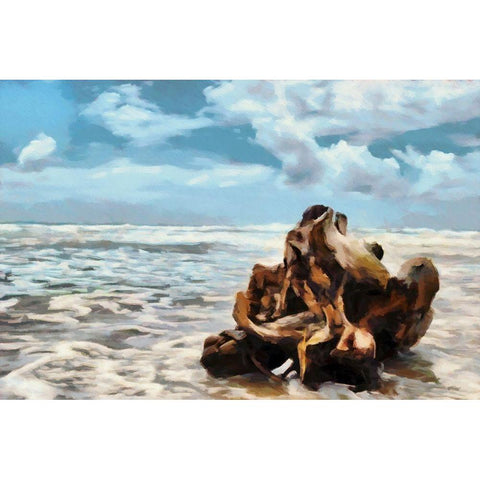 Along the Shore Black Modern Wood Framed Art Print with Double Matting by Bolokofsky, Ronald