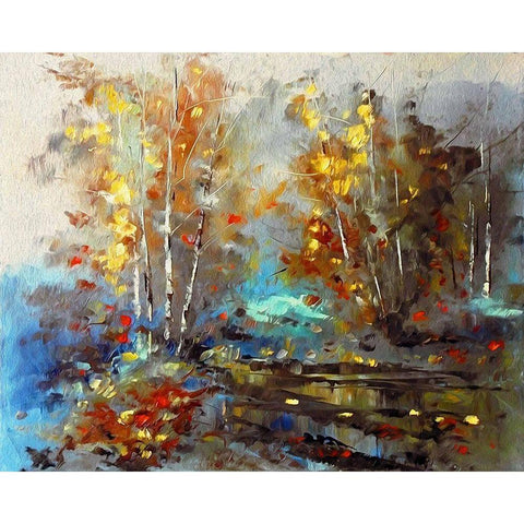 Autumn Pond II Black Modern Wood Framed Art Print with Double Matting by Bolokofsky, Ronald