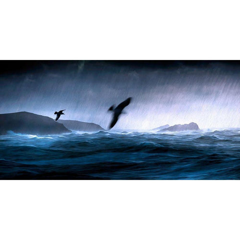 Flying Through the Storm Black Modern Wood Framed Art Print with Double Matting by Bolokofsky, Ronald