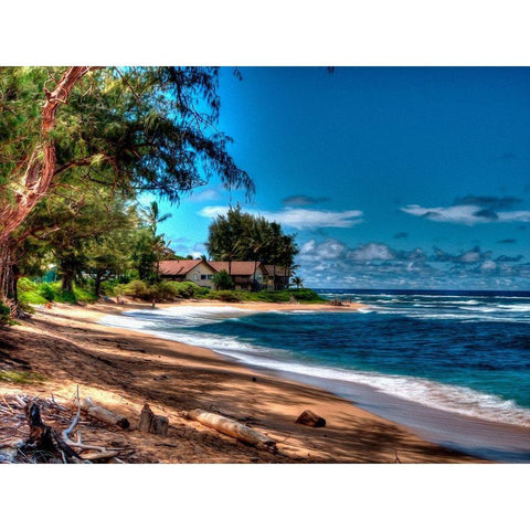 On the Beach in Kauai Gold Ornate Wood Framed Art Print with Double Matting by Bolokofsky, Ronald