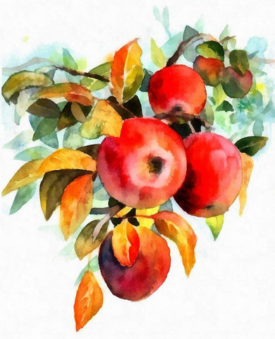 Apples White Modern Wood Framed Art Print with Double Matting by Bolokofsky, Ronald