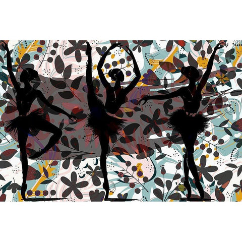 Garden Ballet 418 Black Modern Wood Framed Art Print with Double Matting by Bolokofsky, Ronald