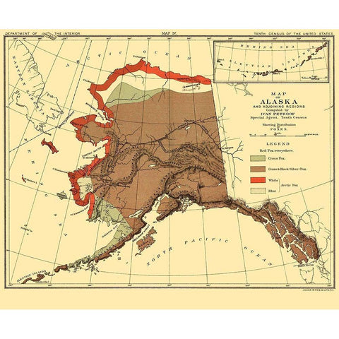 Alaska Fox Habitat - Bien 1882 Black Modern Wood Framed Art Print by Bien