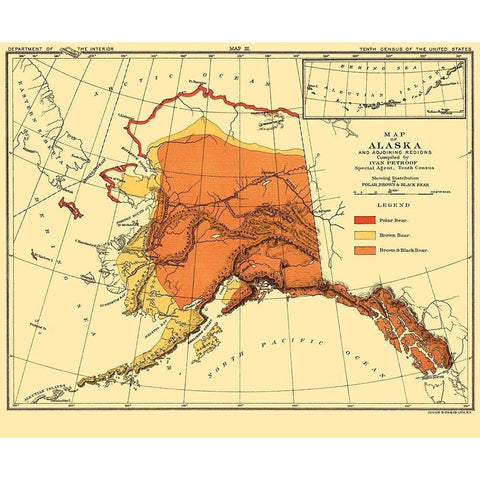 Alaska Bear Habitat - Bien 1882 White Modern Wood Framed Art Print by Bien