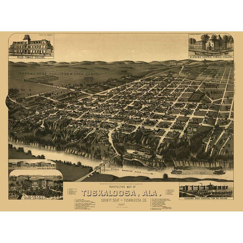 Tuskaloosa Alabama - Wellge 1887 Gold Ornate Wood Framed Art Print with Double Matting by Wellge