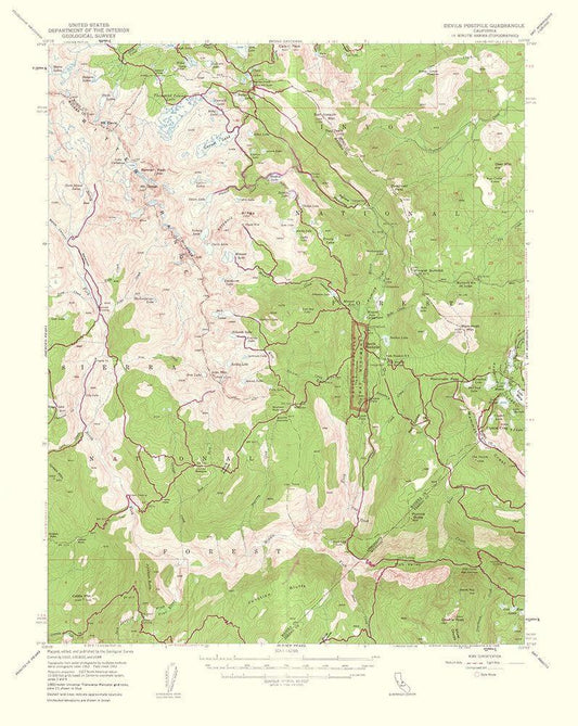Image Only
