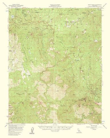 Giant Forest California Quad - USGS 1961 White Modern Wood Framed Art Print with Double Matting by USGS