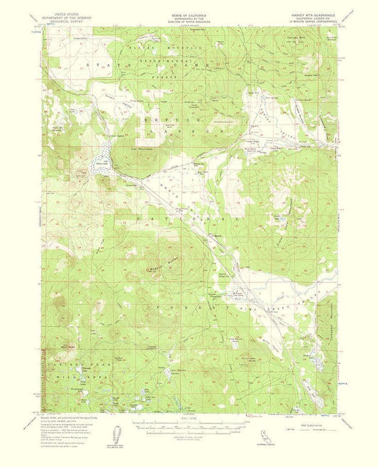 Image Only