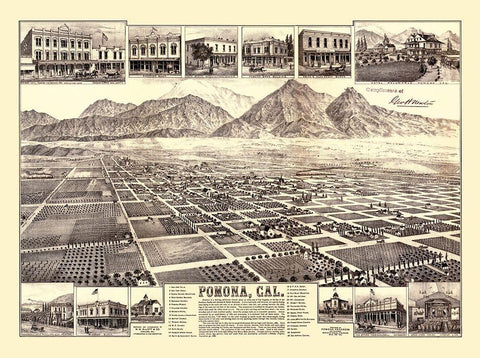 Pomona California - Elliot 1886 Black Ornate Wood Framed Art Print with Double Matting by Elliot