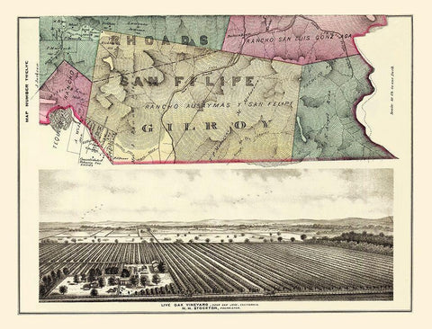 Rhoads San Felipe Gilroy California Landowner White Modern Wood Framed Art Print with Double Matting by Thompson