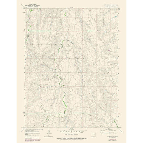 Cattle Gulch Colorado Quad - USGS 1978 Gold Ornate Wood Framed Art Print with Double Matting by USGS