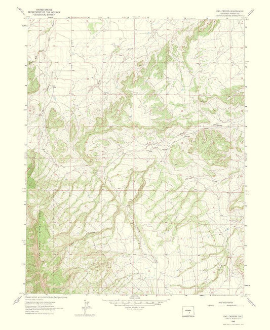 Image Only