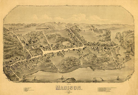Madison Connecticut - Bailey 1881  Black Ornate Wood Framed Art Print with Double Matting by Bailey
