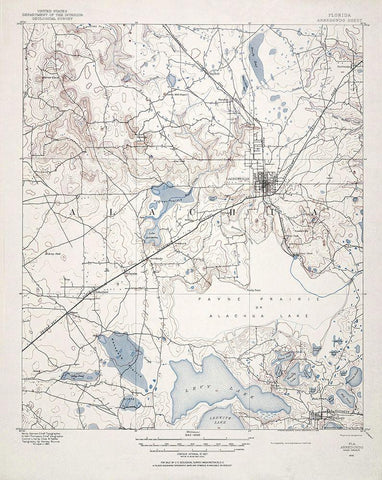 Arredondo Florida Quad - USGS 1890 White Modern Wood Framed Art Print with Double Matting by USGS