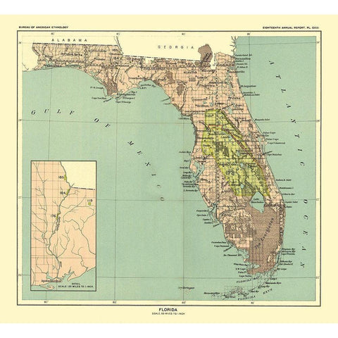 Florida - Hoen 1896 Black Modern Wood Framed Art Print with Double Matting by Hoen