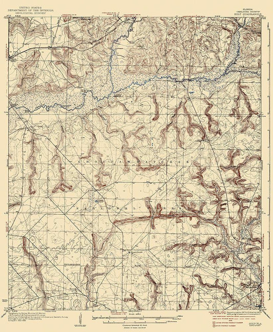 Image Only