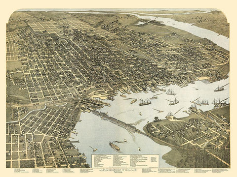 Jacksonville Florida - Koch 1893 White Modern Wood Framed Art Print with Double Matting by Koch