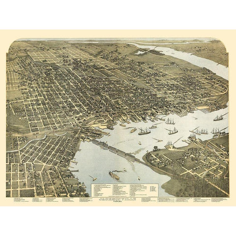 Jacksonville Florida - Koch 1893 White Modern Wood Framed Art Print by Koch