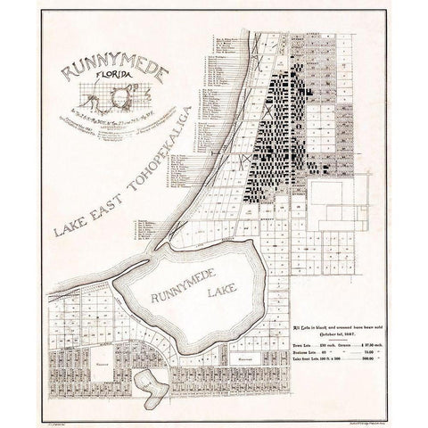 Runnymede Florida - Aldrich 1887  Black Modern Wood Framed Art Print with Double Matting by Aldrich