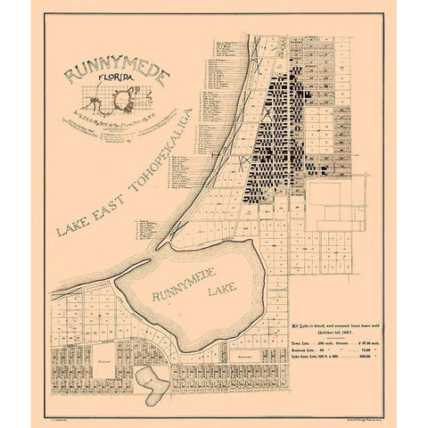 Runnymede County Florida - Aldrich 1887  Gold Ornate Wood Framed Art Print with Double Matting by Aldrich