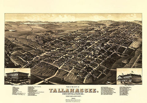 Tallahassee Florida - Beck 1885 White Modern Wood Framed Art Print with Double Matting by Beck