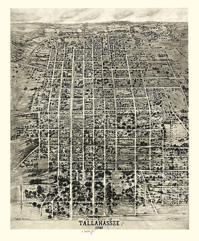 Tallahassee Florida - Wynne 1926 Black Ornate Wood Framed Art Print with Double Matting by Wynne