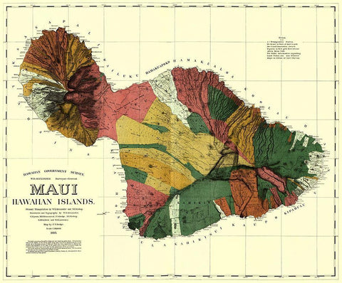 Maui Hawaii - Dodge 1885 Black Ornate Wood Framed Art Print with Double Matting by Dodge