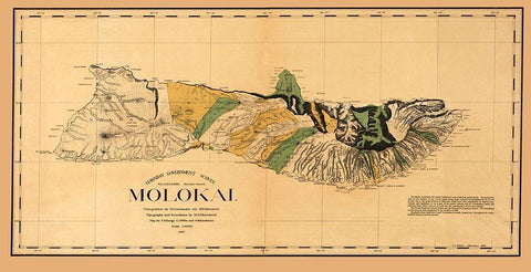 Molokai Hawaii - Willis 1897 Black Ornate Wood Framed Art Print with Double Matting by Willis