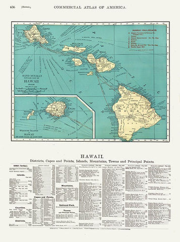 Hawaii - Rand McNally 1902  Black Ornate Wood Framed Art Print with Double Matting by Rand McNally