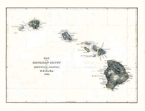 Hawaii - Douglas 1841  White Modern Wood Framed Art Print with Double Matting by Douglas