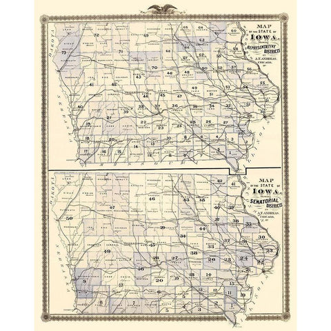 Iowa with Representative, Senatorial Districts Gold Ornate Wood Framed Art Print with Double Matting by Andreas