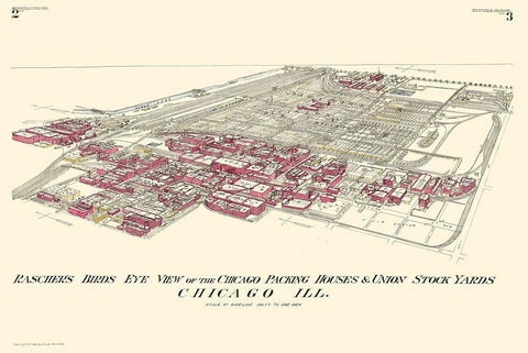 Chicago Packing Houses Union Stock Yards Illinois Black Ornate Wood Framed Art Print with Double Matting by Rascher