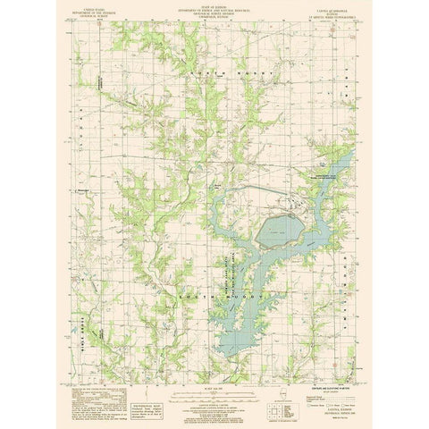 Latona Illinois Quad - USGS 1985 Gold Ornate Wood Framed Art Print with Double Matting by USGS