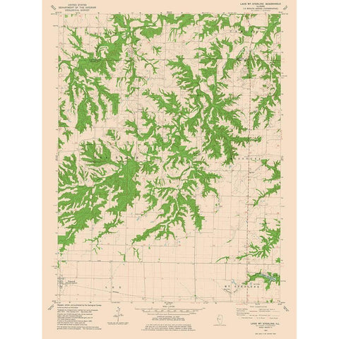 Lake Mt Sterling Illinois Quad - USGS 1981 Gold Ornate Wood Framed Art Print with Double Matting by USGS