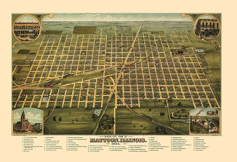 Mattoon Illinois - Shober 1884 Black Ornate Wood Framed Art Print with Double Matting by Shober