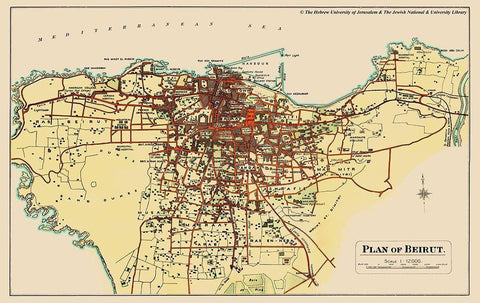 Middle East Beirut Lebanon - Palmer 1851 White Modern Wood Framed Art Print with Double Matting by Palmer