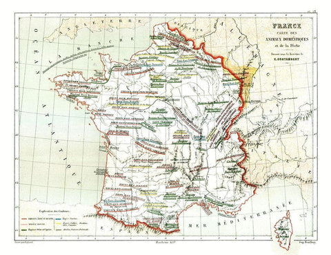 Domestic Animals France - Cortambert 1880 Black Ornate Wood Framed Art Print with Double Matting by Cortambert