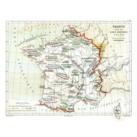 Domestic Animals France - Cortambert 1880 Black Modern Wood Framed Art Print by Cortambert