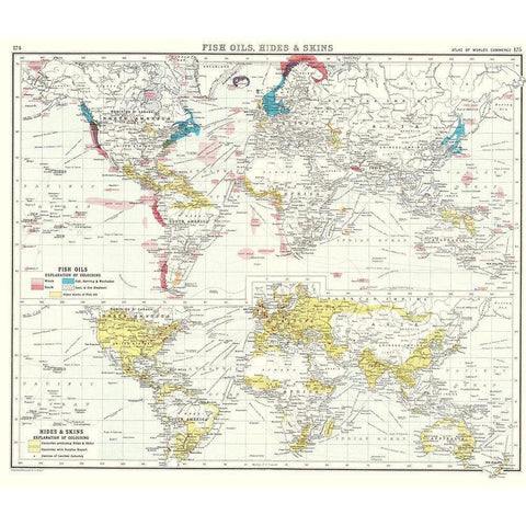 Global Fish Oils Hides Skins - Bartholomew 1907 Black Modern Wood Framed Art Print with Double Matting by Bartholomew