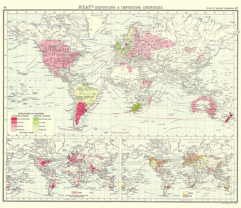 Global Meat Exporting Importing - Bartholomew 1907 White Modern Wood Framed Art Print with Double Matting by Bartholomew