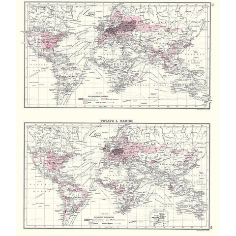 Global Potato Manioc - Bartholomew 1907 White Modern Wood Framed Art Print by Bartholomew
