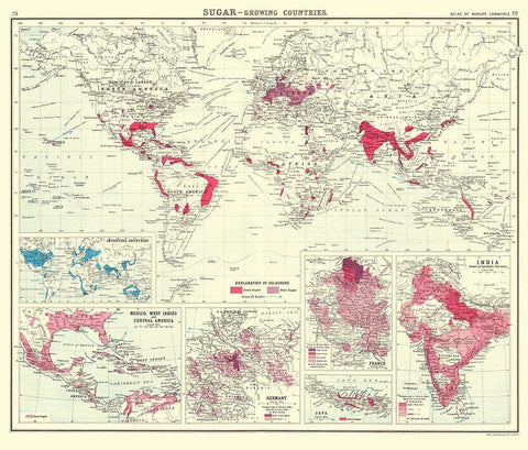 Global Sugar Growing Countries - Bartholomew 1907 White Modern Wood Framed Art Print with Double Matting by Bartholomew